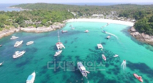 푸껫 라차 야이섬 산호초 [사진 DMCR 제공/푸껫 뉴스 캡처]